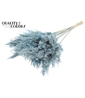 QC Plumes de Pampas Séchées | Bleu Clair Givré | Longueur ± 70 centimètres | 10 plumes par bouquet | Par bouquet
