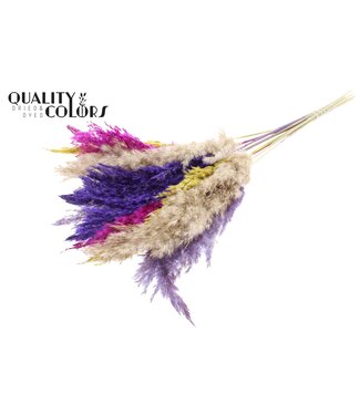 QC Plumes de Pampas Séchées | Mélange de Couleurs 11 | Longueur ± 70 centimètres | 10 plumes par bouquet | Par bouquet
