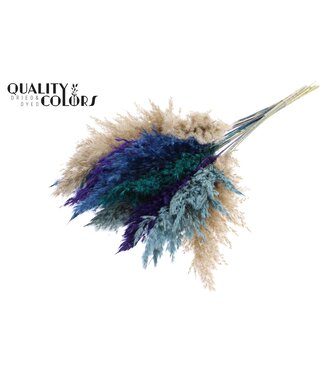 QC Plumes de Pampa Séchées | Mélange de Couleurs Scandinavie | Longueur ± 70 centimètres | 10 plumes par bouquet | Par bouquet