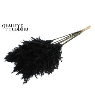 QC Plumes de Pampa Séchées | Noir | Longueur ± 70 centimètres | 10 plumes par bouquet | Par bouquet