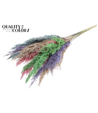 QC Plumes de Pampas Séchées | Mélange de Couleurs 1 | Longueur ± 70 centimètres | 10 plumes par bouquet | Par bouquet