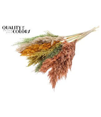 QC Plumes de Pampas Séchées | Mélange de Couleurs Été | Longueur ± 70 centimètres | 10 plumes par bouquet | Par bouquet