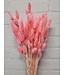 Pink Lagurus dried flowers | Length 65 centimetres | Available per bunch