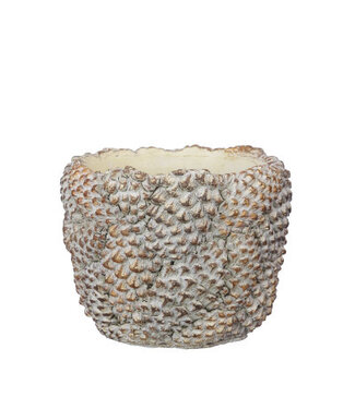 4A Pot de plantation en pomme de pin brune | Diamètre 15 centimètres | Hauteur 12 centimètres | Par pièce