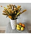 Bouquet de fleurs séchées "Touch of Citrus" | Longueur ± 65 centimètres | À commander à l'unité