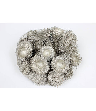 QC Glands Acorn Cones | Couleur platine | Emballé par 500 grammes dans un filet | Par 4 pièces