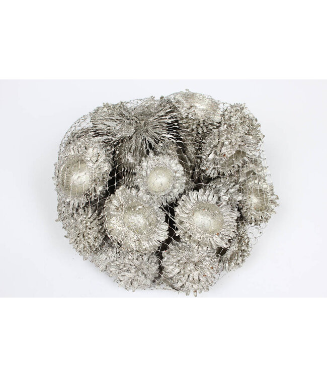 Glands Acorn Cones | Couleur platine | Emballé par 500 grammes dans un filet | Commande par 4 pièces