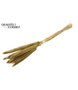 QC Babala de Millet Perlé | Couleur or avec paillettes | Longueur ± 65 centimètres | Par 10 tiges