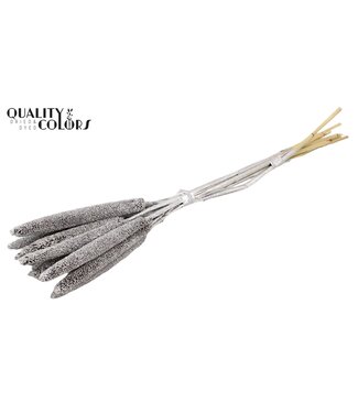 QC Babala de Millet Perlé | Couleur Argentée avec Paillettes | Longueur ± 65 centimètres | Par 200 tiges