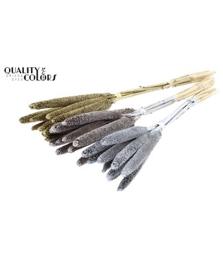 QC Babala de Millet Perlé | Mélange de Couleurs de Mariage | Longueur ± 65 centimètres | Par 200 tiges