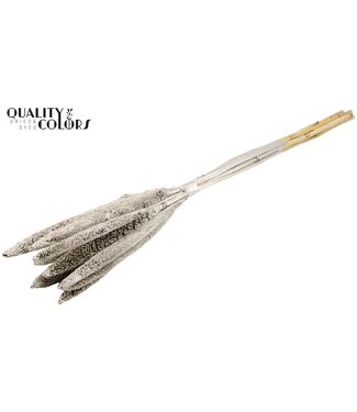 QC Babala de Millet perlé | Couleur platine | Longueur ± 65 centimètres | Par 10 tiges