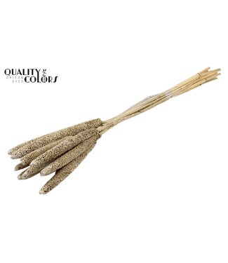 QC Babala de Millet perlé | Couleur platine avec paillettes | Longueur ± 65 centimètres | Par 200 tiges