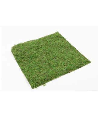 4A Feuille de mousse verte séchée déco sèche | Dimensions 38 x 38 centimètres | Par pièce