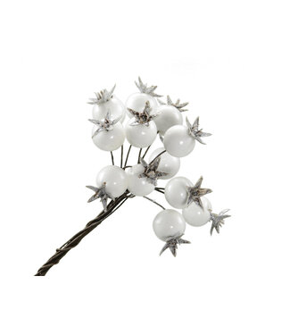 4A White natural berry pick | Diameter 1.8 centimetres | Per 72 pieces