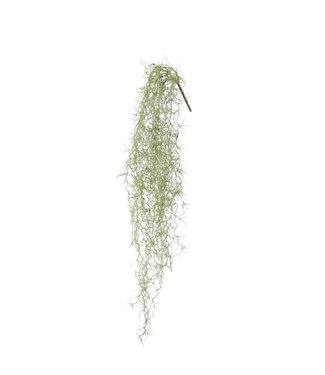 4A Tillandsia usneoides artificielle verte | Hauteur 86 centimètres | Par pièce