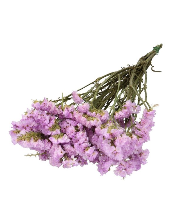 Lilac-coloured dried Sea Lavender | Limonium Statice dried flowers | Length 70 centimetres | Available per bunch