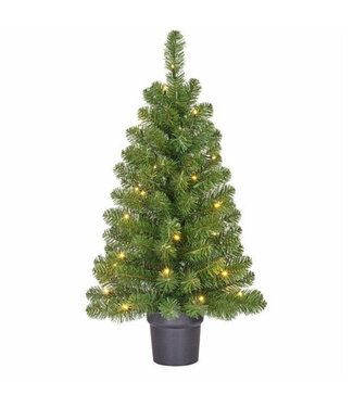 4A Sapin de Noël vert Norton avec pot | Hauteur 90 centimètres | 30 lumières LED | Par pièce