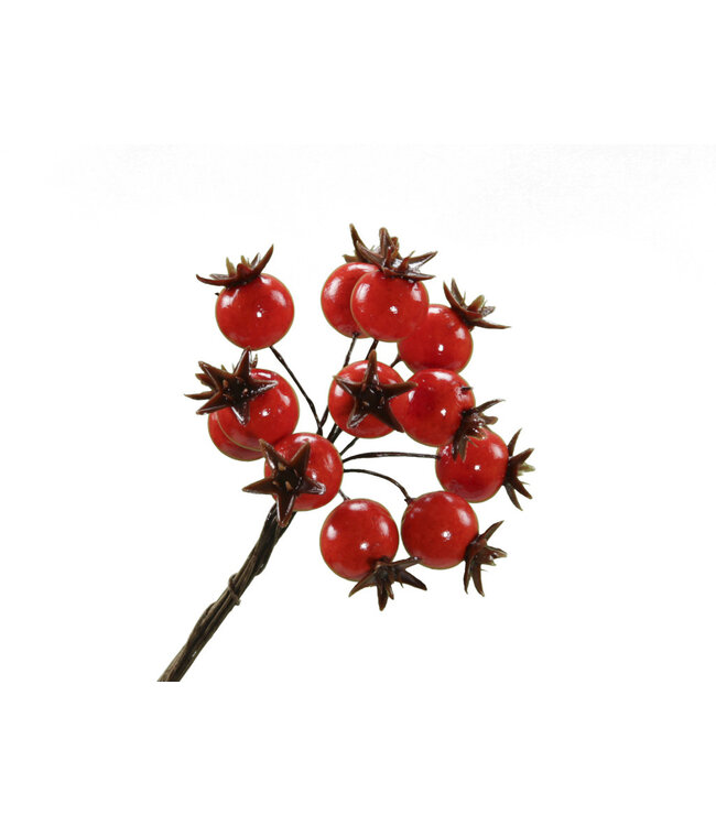 Orange berry pick | Diameter 1.8 centimetres | Available to order per 72 pieces