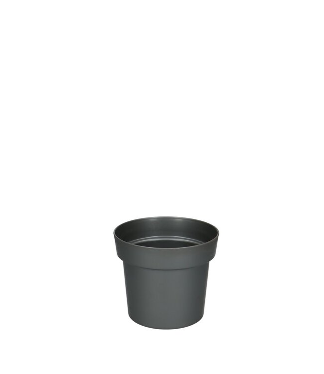 Grey plastic flower pot | Diameter 12 centimetres | Height 9.5 centimetres | Available to order individually