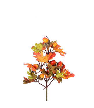 4A Branche de feuille de chêne naturelle | Hauteur 32 centimètres | Par pièce