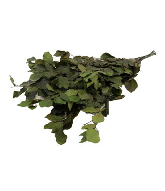 4A Hêtre préservé vert | Longueur 80 centimètres | Poids 150 grammes | Par bouquet