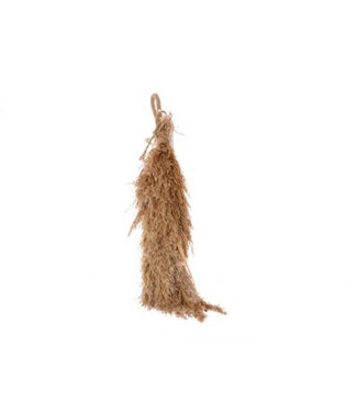 4A Pampas séchées suspendues déco séchée | Longueur 50 centimètres | Par bouquet