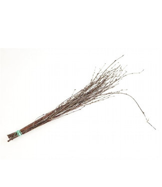 4A Brown dried Birch branches | Length 60 centimetres | Per 10 pieces