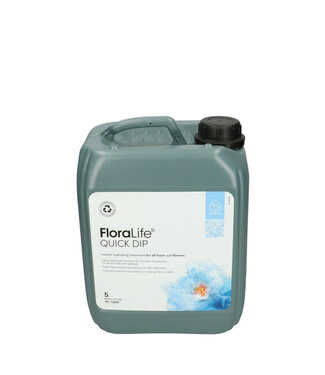 4A Naturelle blanche Oasis Floralife Quick Dip | Contenu 5 litres | Par pièce