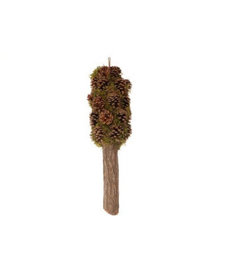4A Pomme de pin de pin séchée suspendue avec mousse déco séchée | Longueur 60 centimètres | Par pièce