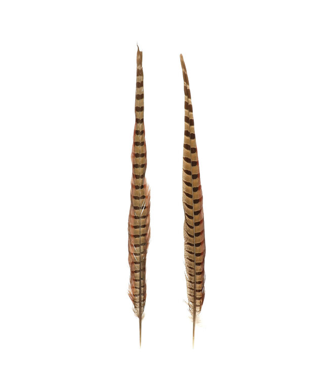 Brown Pheasant feathers | Length 50 centimetres | Available to order in pairs