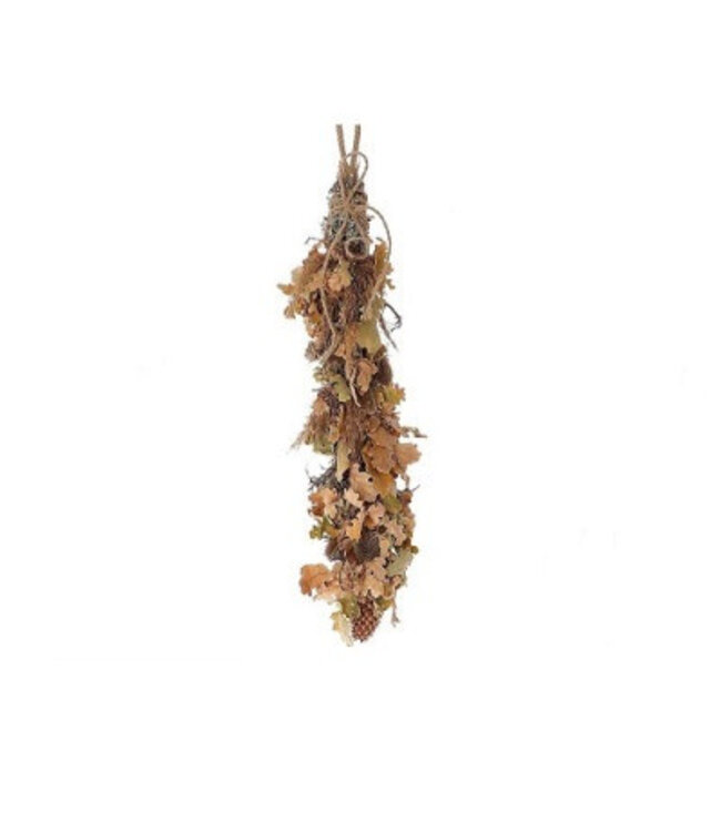 Hanging dried Pampas oak wood | Length 60 centimetres | Available to order individually