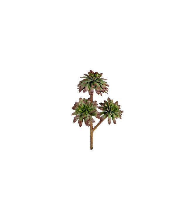 Green Echeveria artificial plant | Height 27 centimetres | Available per piece