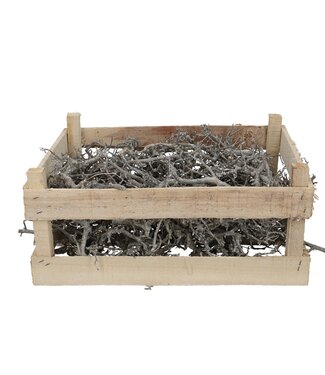 4A Bois de bonsaï séché en caisse | Dimensions 60 x 40 centimètres | Par pièce