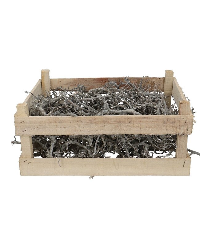 Dried Bonsai Wood in Box | Size 60 x 40 centimetres | Available to order individually