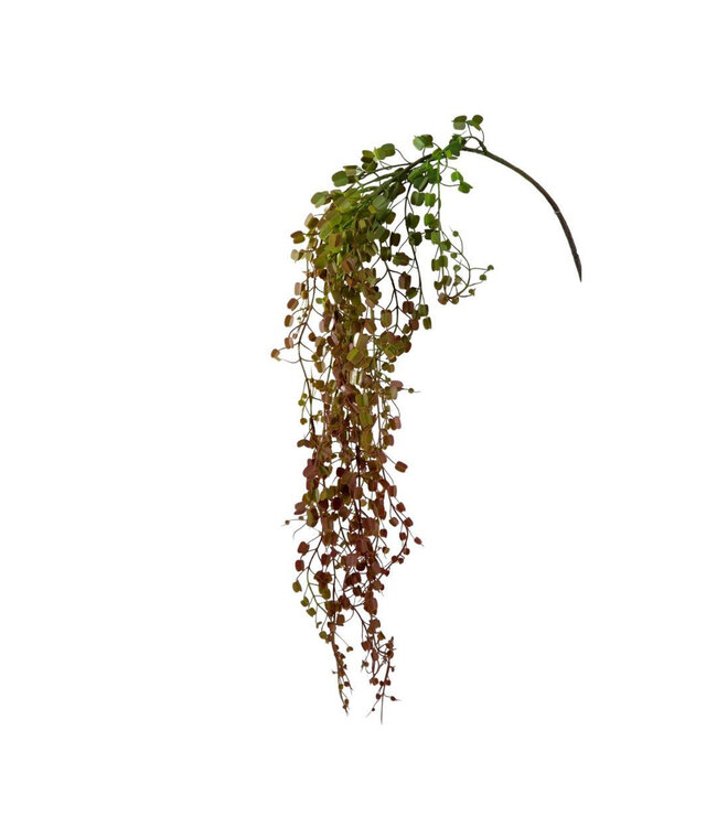 Green Muehlenbeckia artificial plant | Height 82 centimetres | Available to order individually