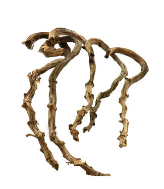 4A Brown Dried Banana Sticks | Per 5 pieces