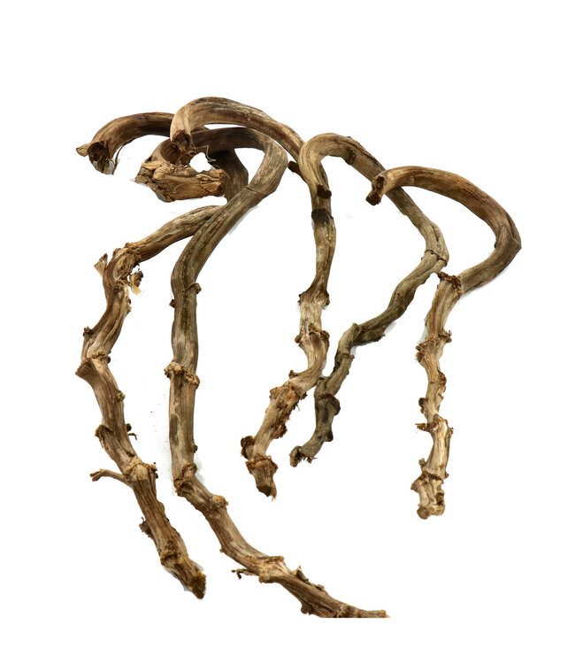 Brown Dried Banana Sticks | Available to order per 5 pieces