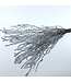 Branches de bouleau enneigées | Longueur 65 centimètres | Commande par 20 branches