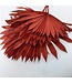 Red Palm Sun branches | Length 45 centimetres | Available to order per 6 branches