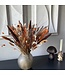 Bouquet of dried flowers Terracotta Vibe | Length 55 centimetres | Available per bouquet
