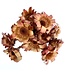 Dried Protea Nerifolia | Natural Red | Length 35 centimetres | Available to order per 10 pieces