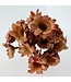 Dried Protea Nerifolia | Natural Red | Length 35 centimetres | Available to order per 10 pieces