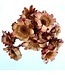 Dried Protea Nerifolia | Natural Red | Length 35 centimetres | Available to order per 10 pieces
