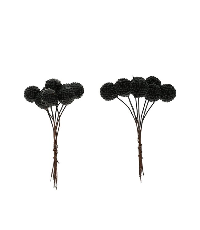 Schwarze Brombeere Beihefter | Durchmesser 1,5 Zentimeter | Pro 64 Stück zu bestellen
