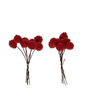 4A Framboise rouge Bijsteker | Diamètre 1 centimètre | Par 64 pièces