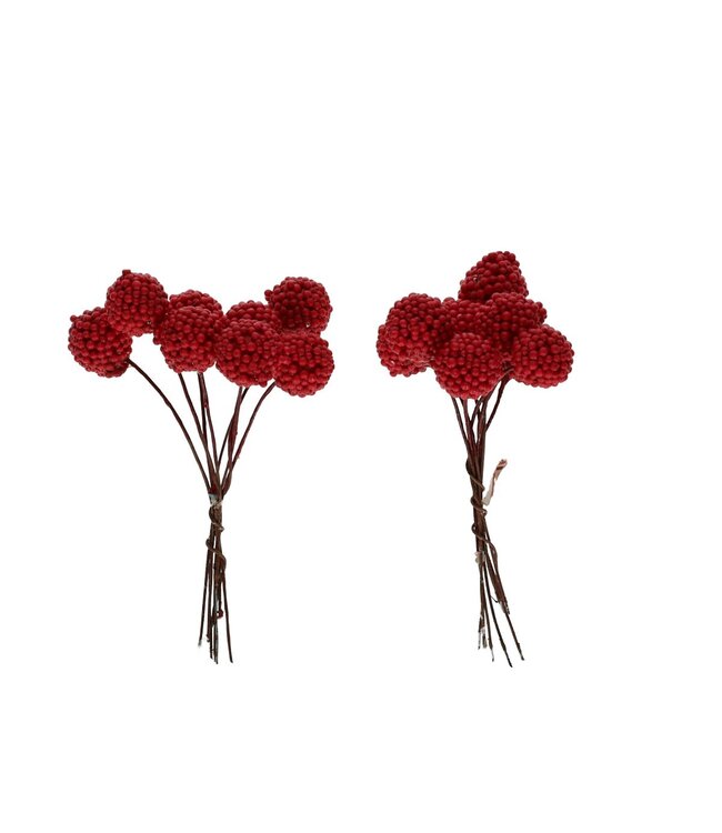 Framboise rouge Bijsteker | Diamètre 1 centimètre | À commander par 64 pièces