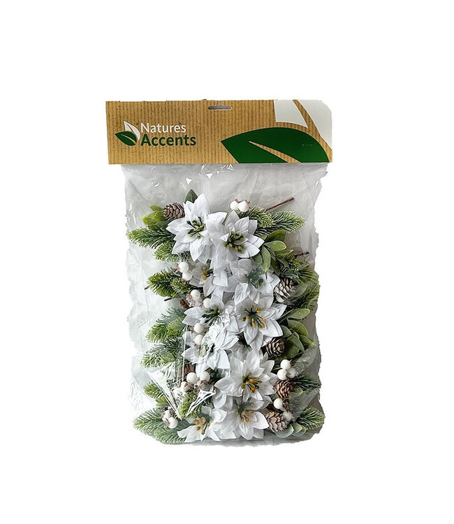 Natürliche weiße Weihnachtsstern-Poinsettie-Stecker | Länge 15 Zentimeter | Breite 7 Zentimeter | Pro 12 Stück bestellbar