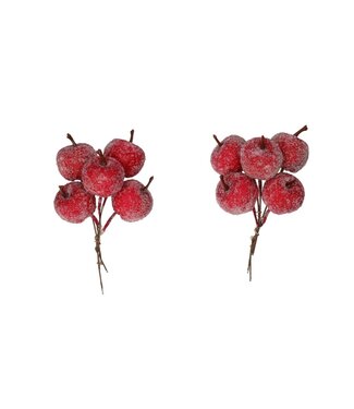 4A Pomme givrée rouge sur pique | Diamètre 3 centimètres | Par 20 pièces
