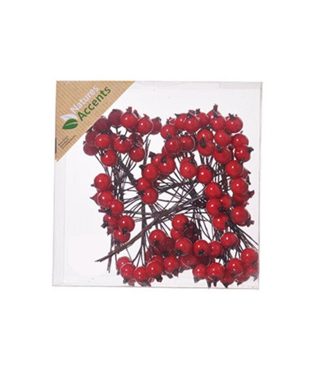 Baie rouge Bijsteker | Diamètre 1 centimètre | Commande par 120 pièces