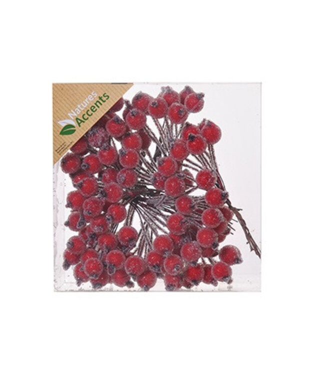 Baie givrée rouge mat Bijsteker | Diamètre 1 centimètre | Commande par 120 pièces